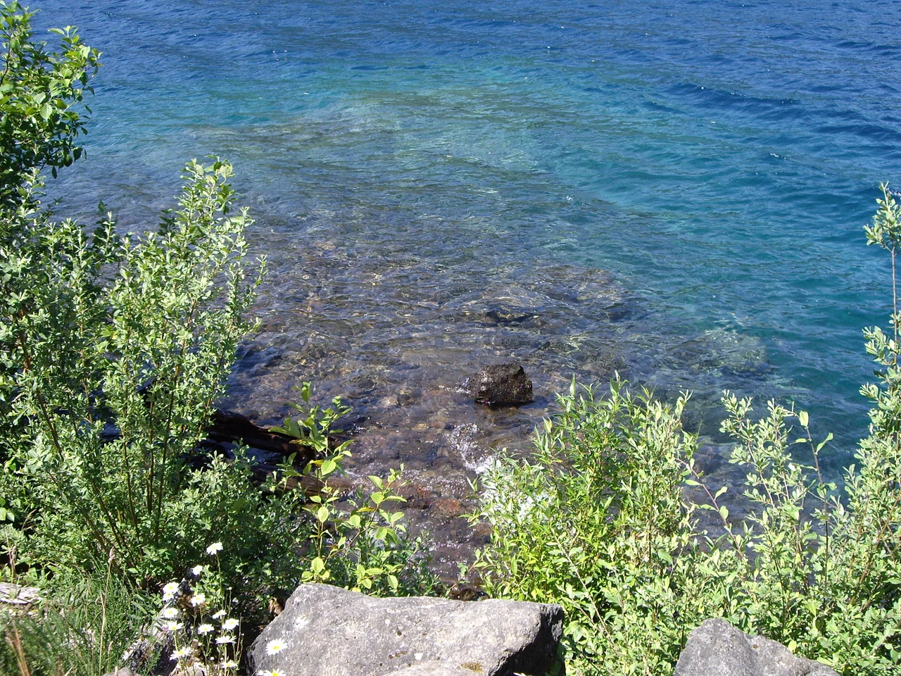 Closeup of en:Lake Crescent water. Photo by en:User:Jon Stockton.