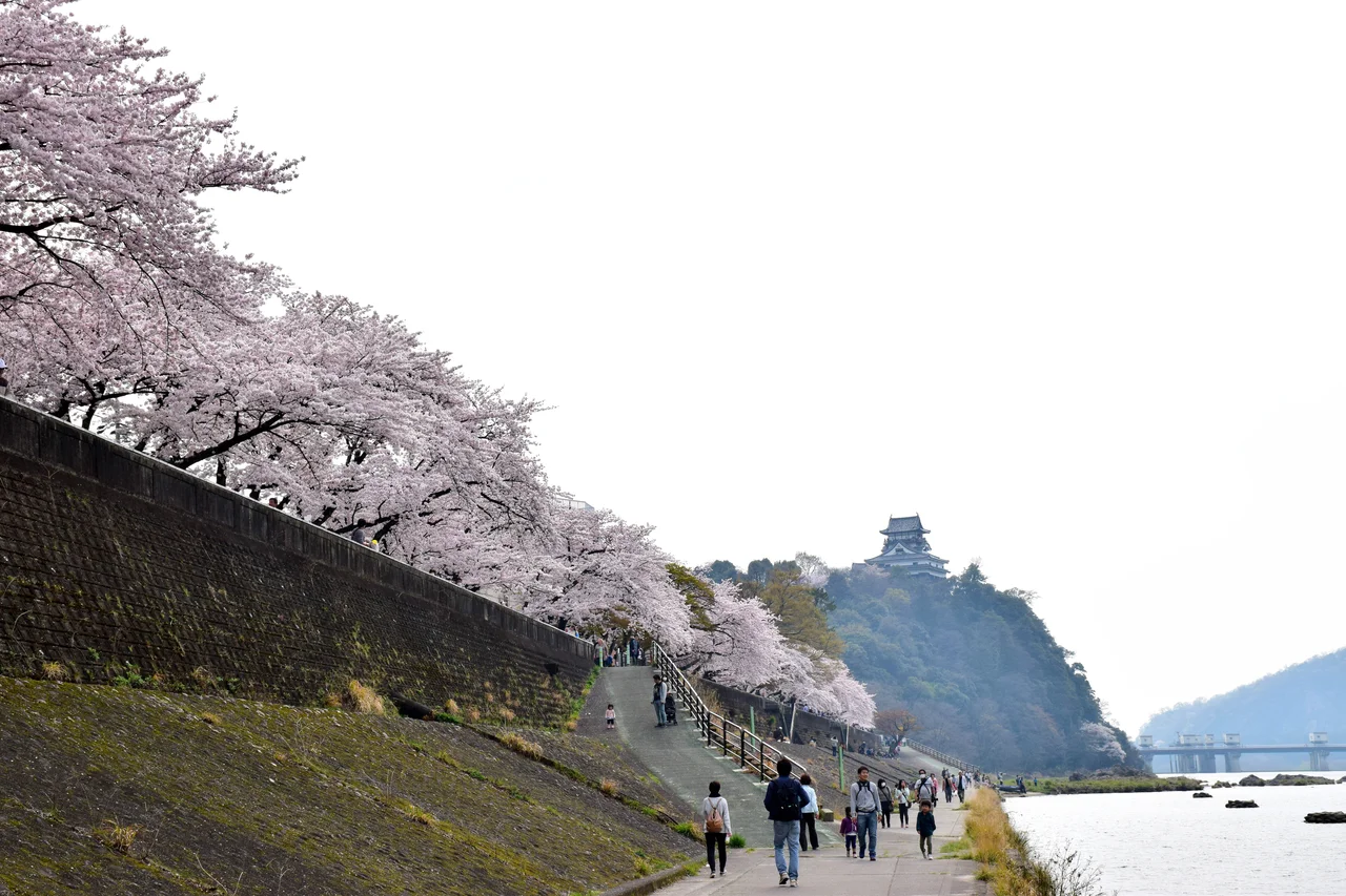 東側からの犬山城
